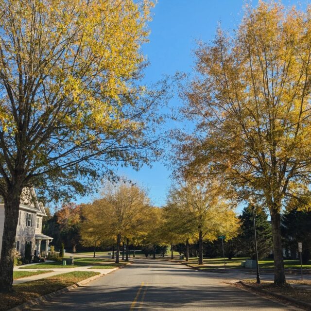 🍂There’s something magical about Fall at The Preserve — where every street is lined with golden leaves and vibrant color. Come experience the beauty of the season in a community that feels like home. 🏡